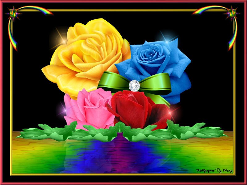 Colorful Roses in Water — Yellow