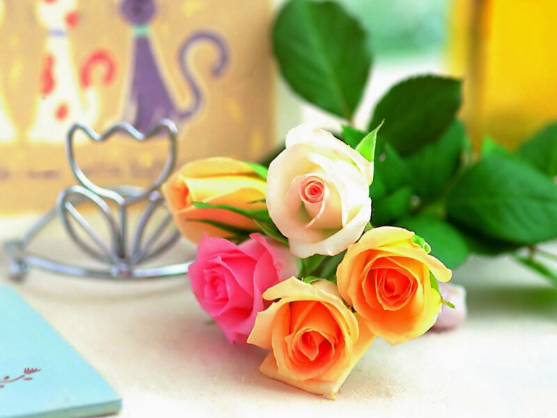 Colorful roses on a table