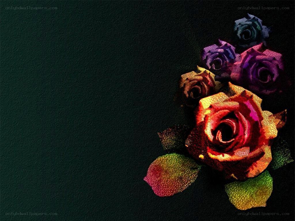 colorful roses on dark background