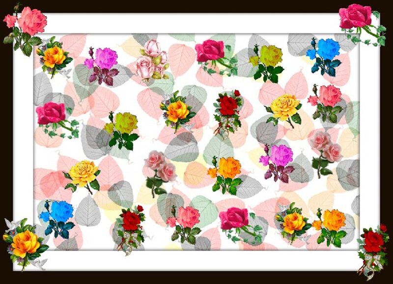 Colorful Roses on Pattern