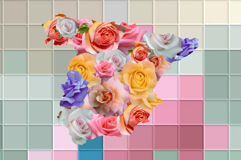Colorful Roses on Tiles