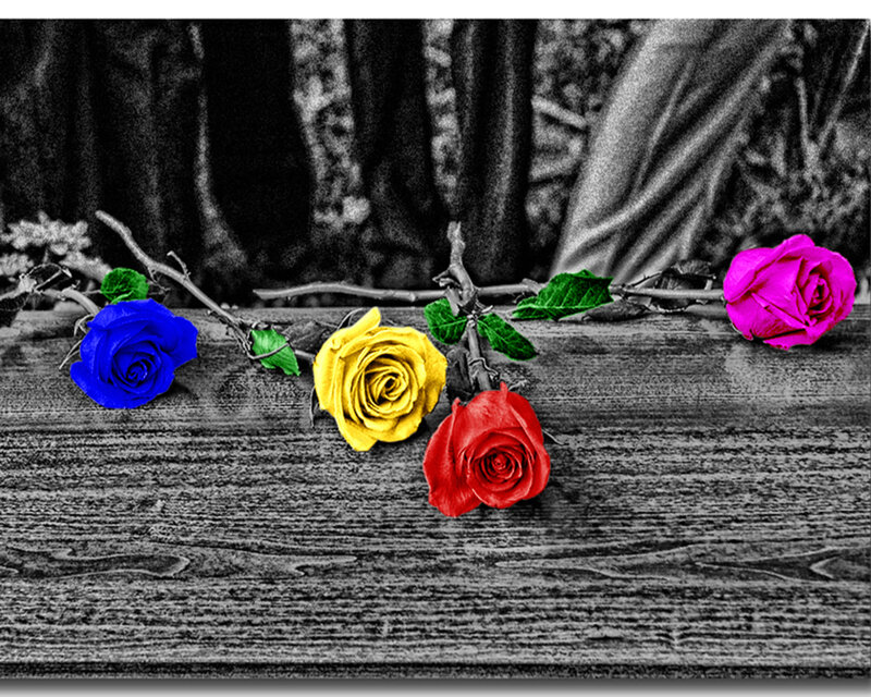 Colorful Roses on Wood — Blue