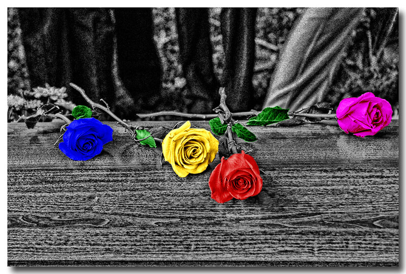 Colorful roses on wood