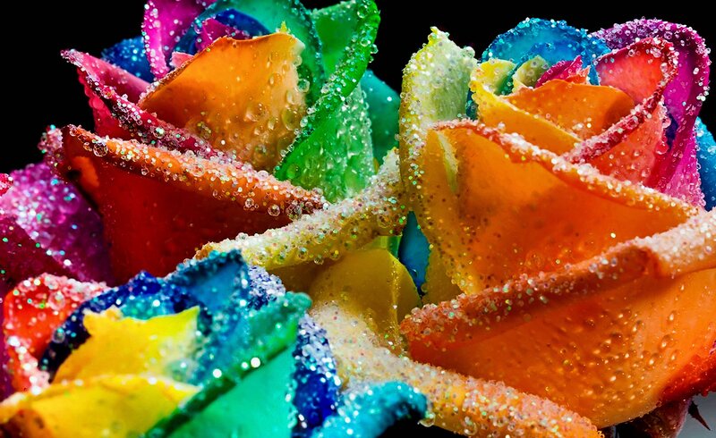 Colorful Roses with Glitter
