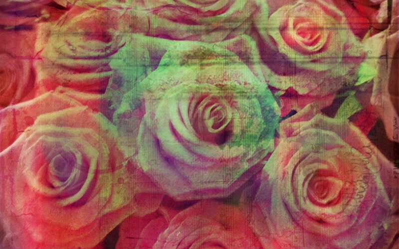 colorful roses with music sheet overlay