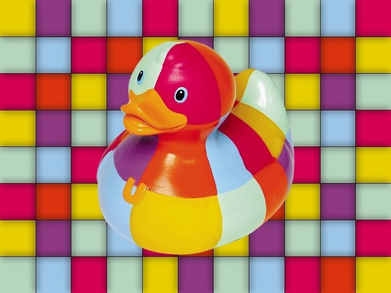colorful rubber duck