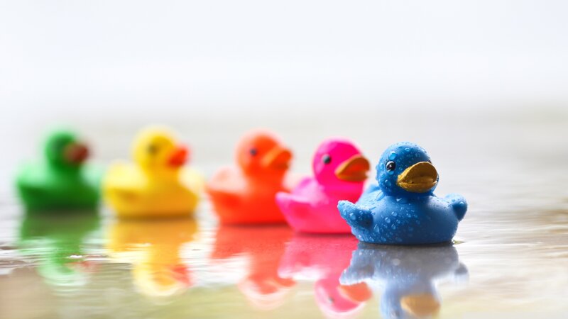 Colorful Rubber Ducks — Blue, Calm, Photograph