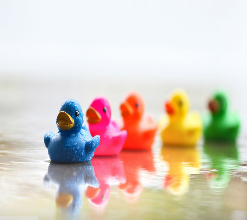 Colorful Rubber Ducks — Blue, Calm