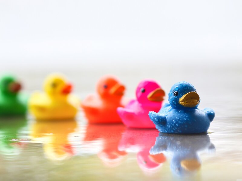 Colorful Rubber Ducks — Blue, Playful