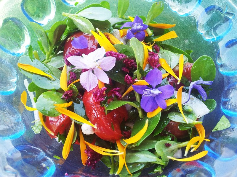 Colorful Salad in Bowl — Green