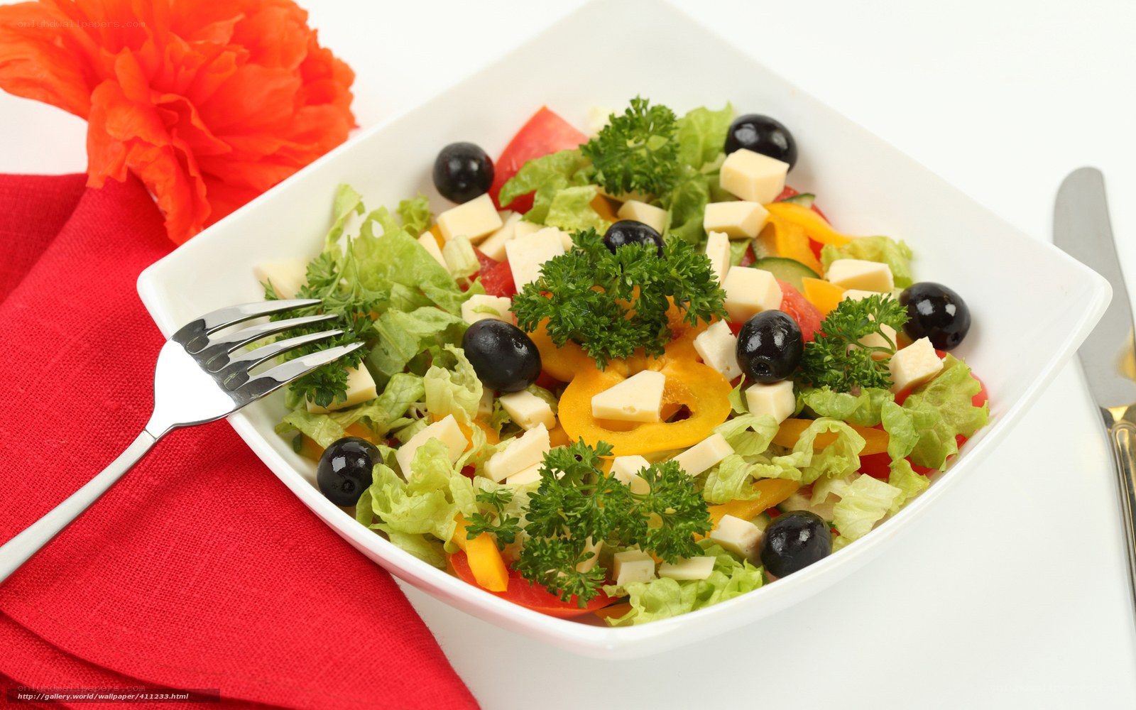 colorful salad in white bowl