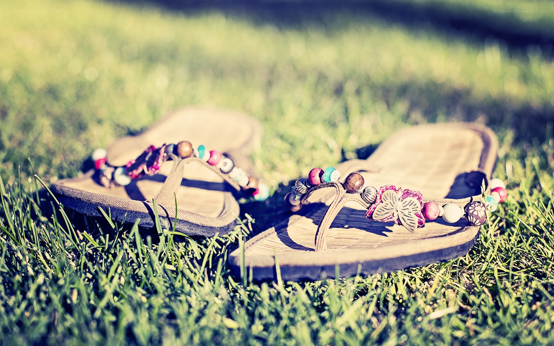 Colorful sandals on grass