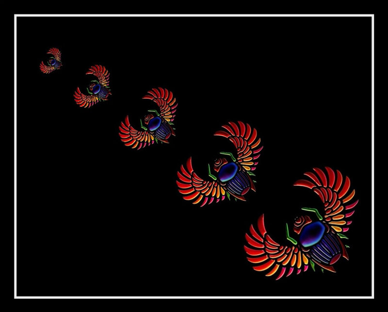 Colorful Scarab Beetles