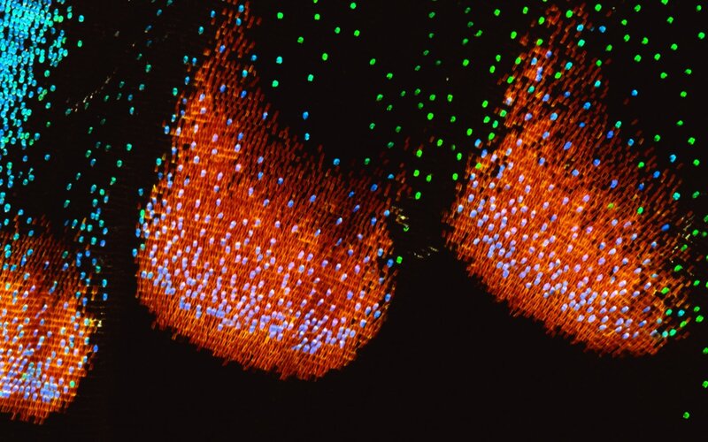 Colorful scientific visualization