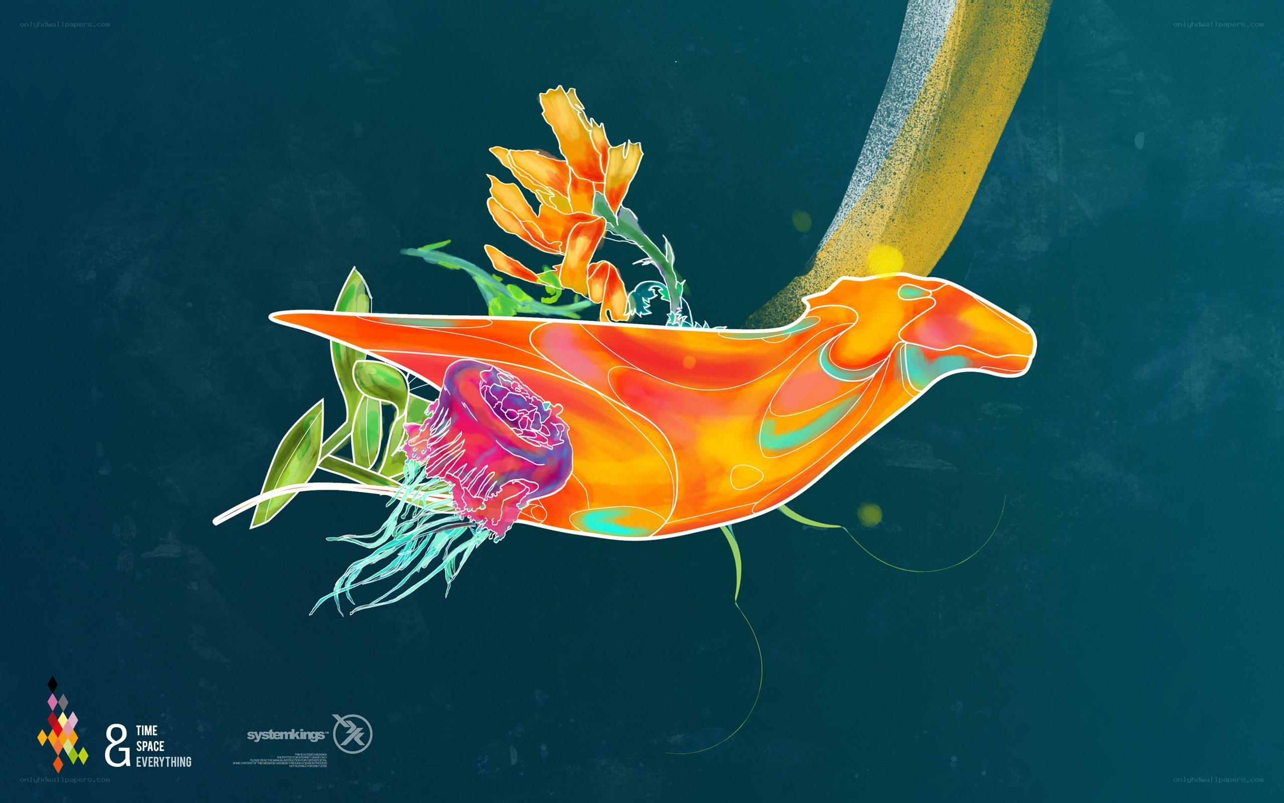 Colorful sea creature illustration