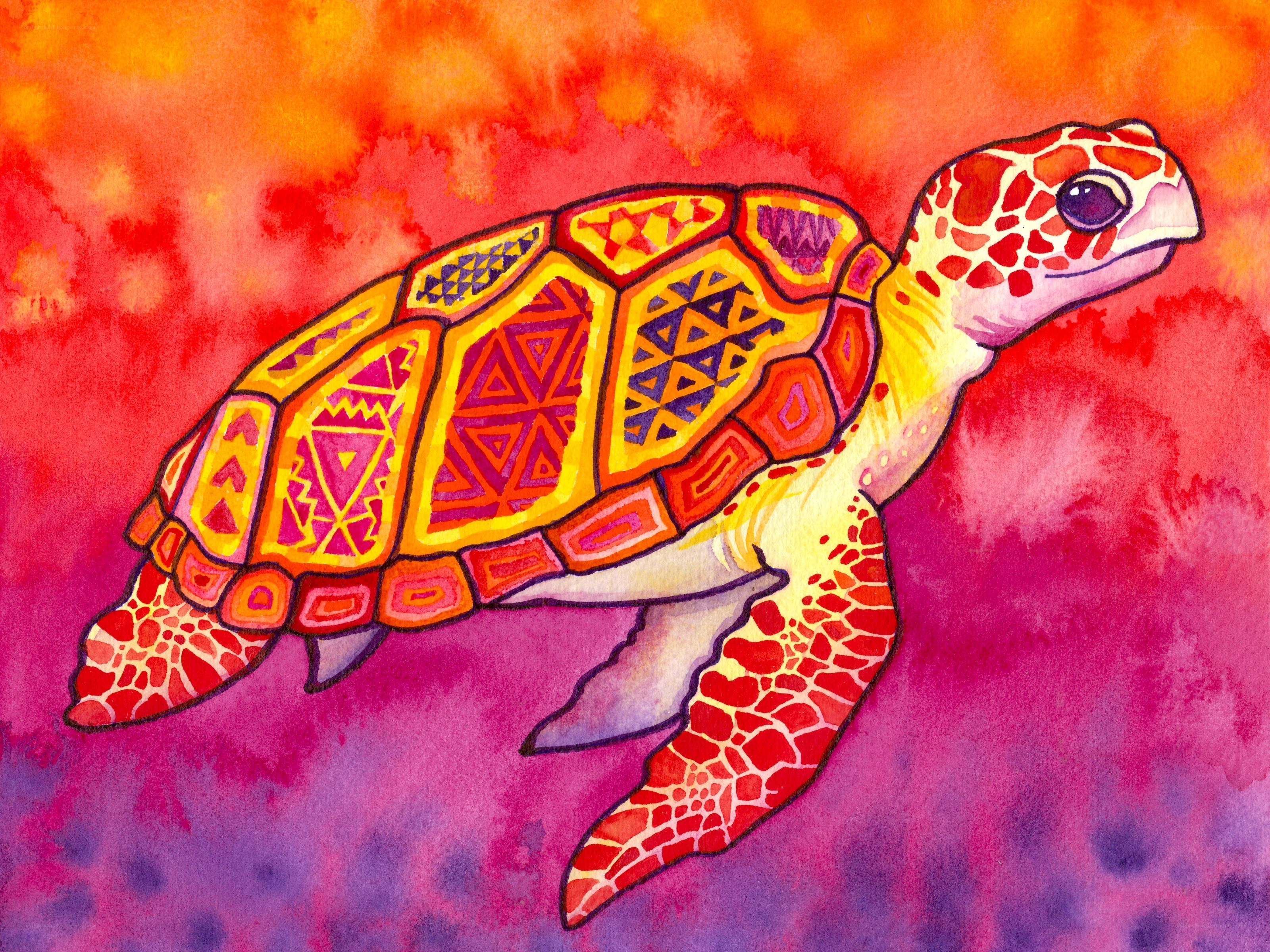 Colorful sea turtle art