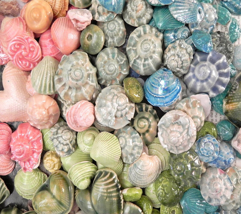 Colorful Seashell Collection — Green