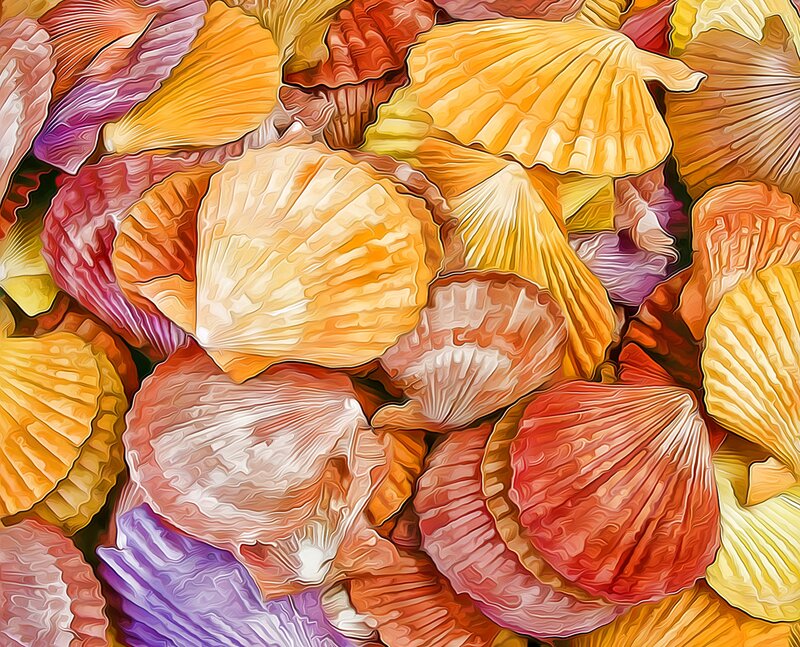 Colorful Seashells — Yellow