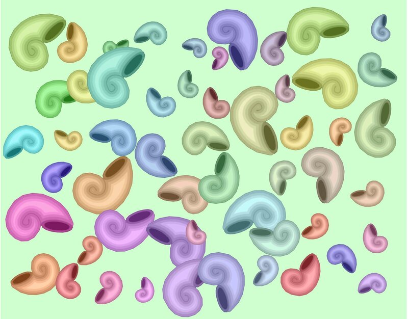 colorful shell pattern