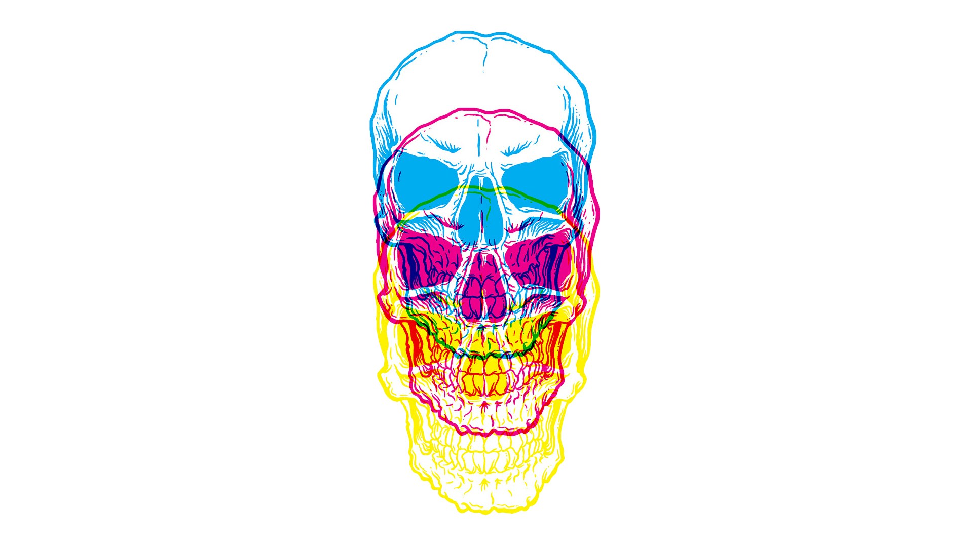 colorful skull illustration