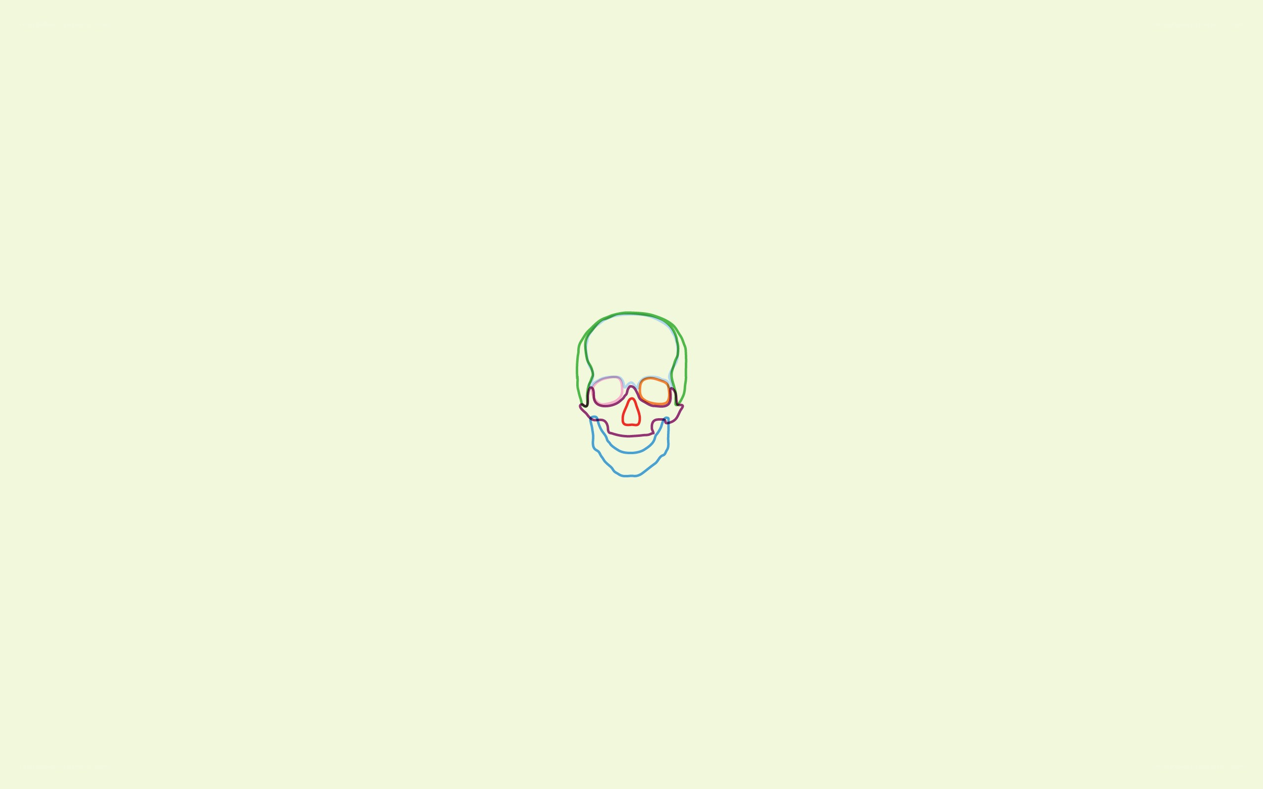 colorful skull outline