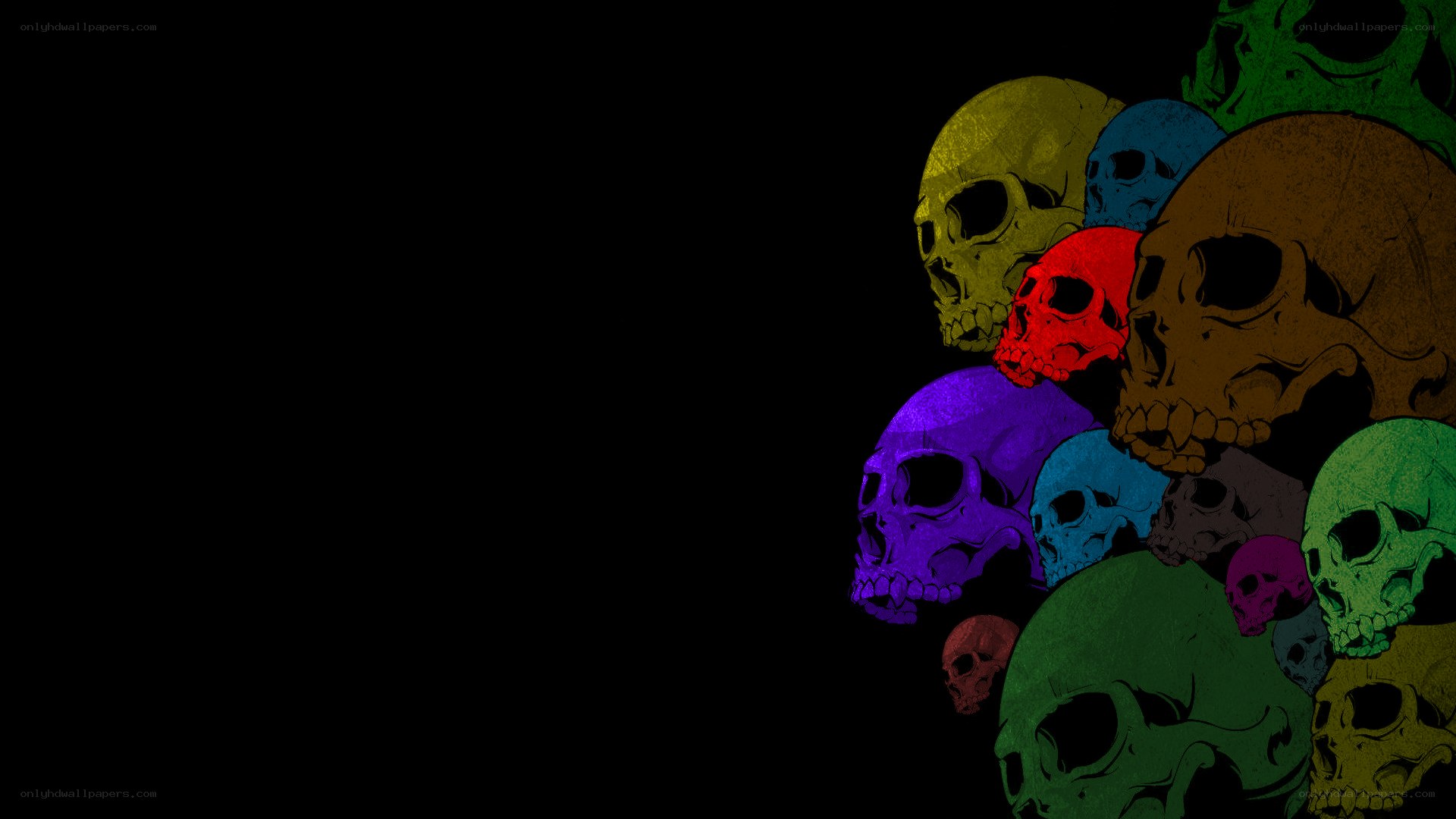 colorful skulls on black