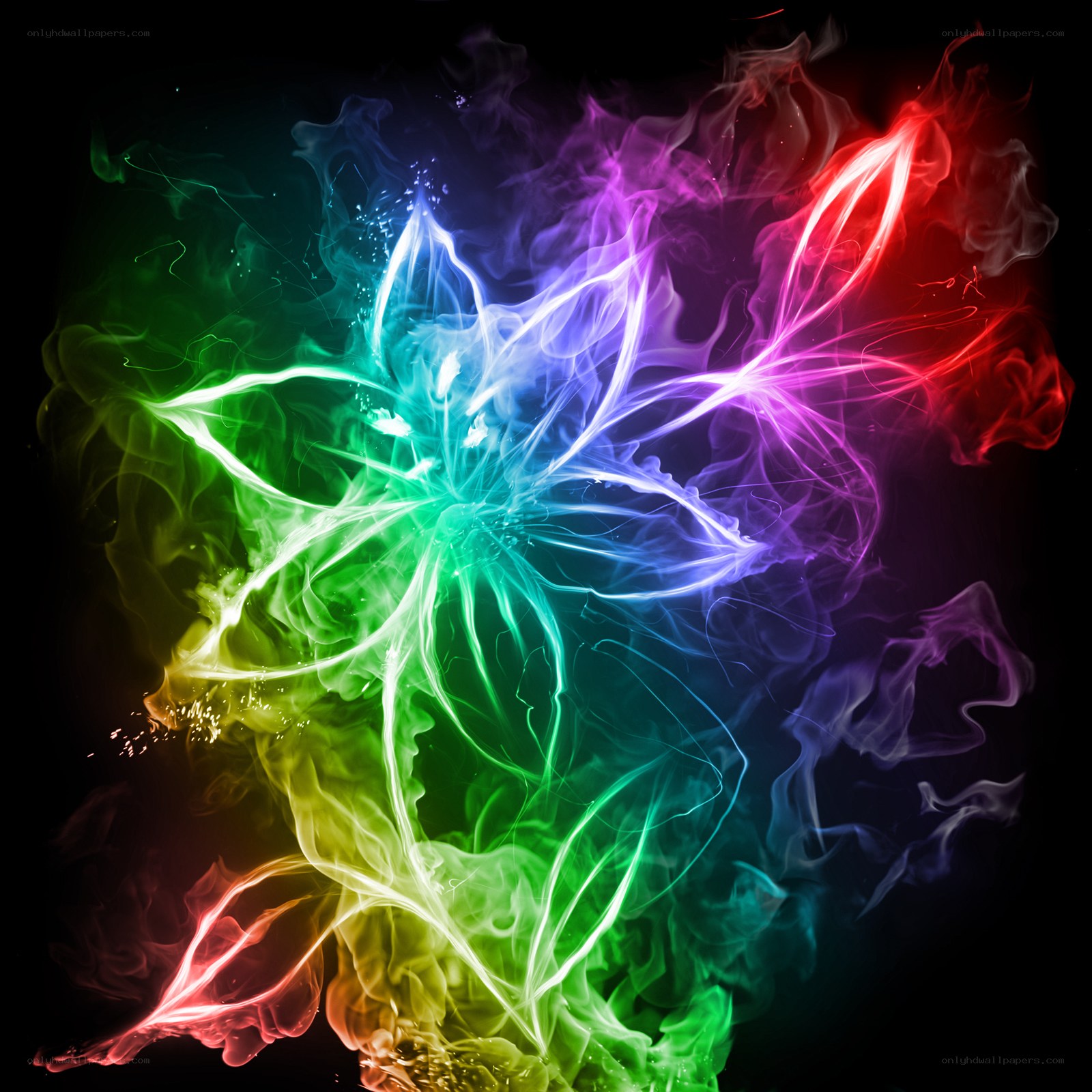 colorful smoke flower