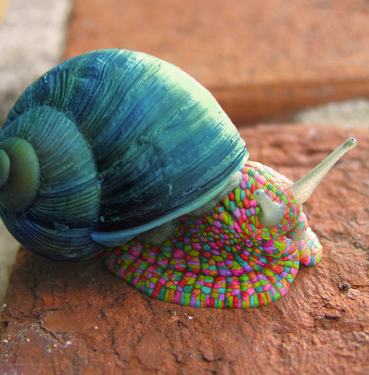 colorful snail sculpture