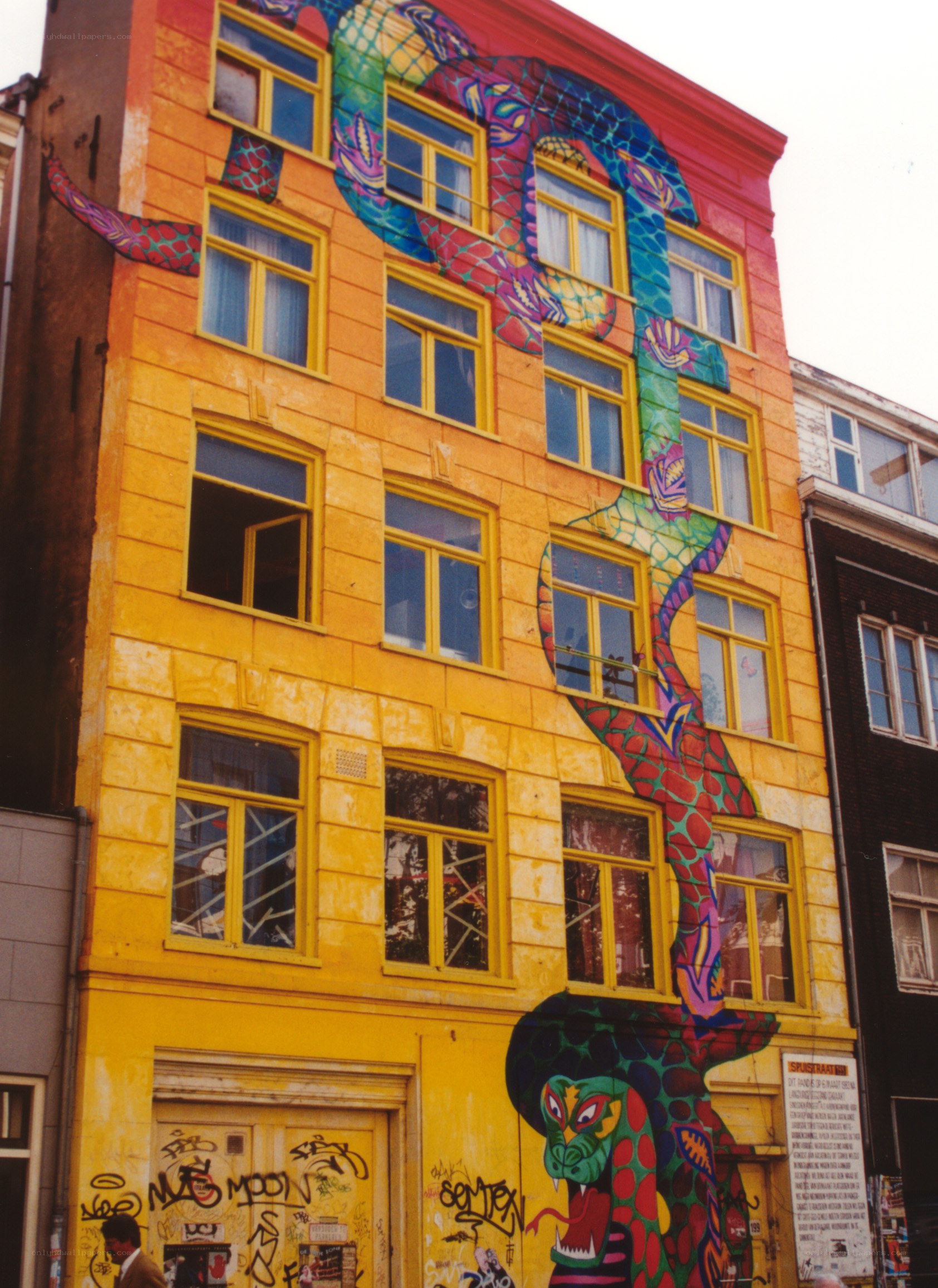 colorful snake mural on building