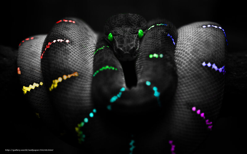 colorful snake with glowing eyes
