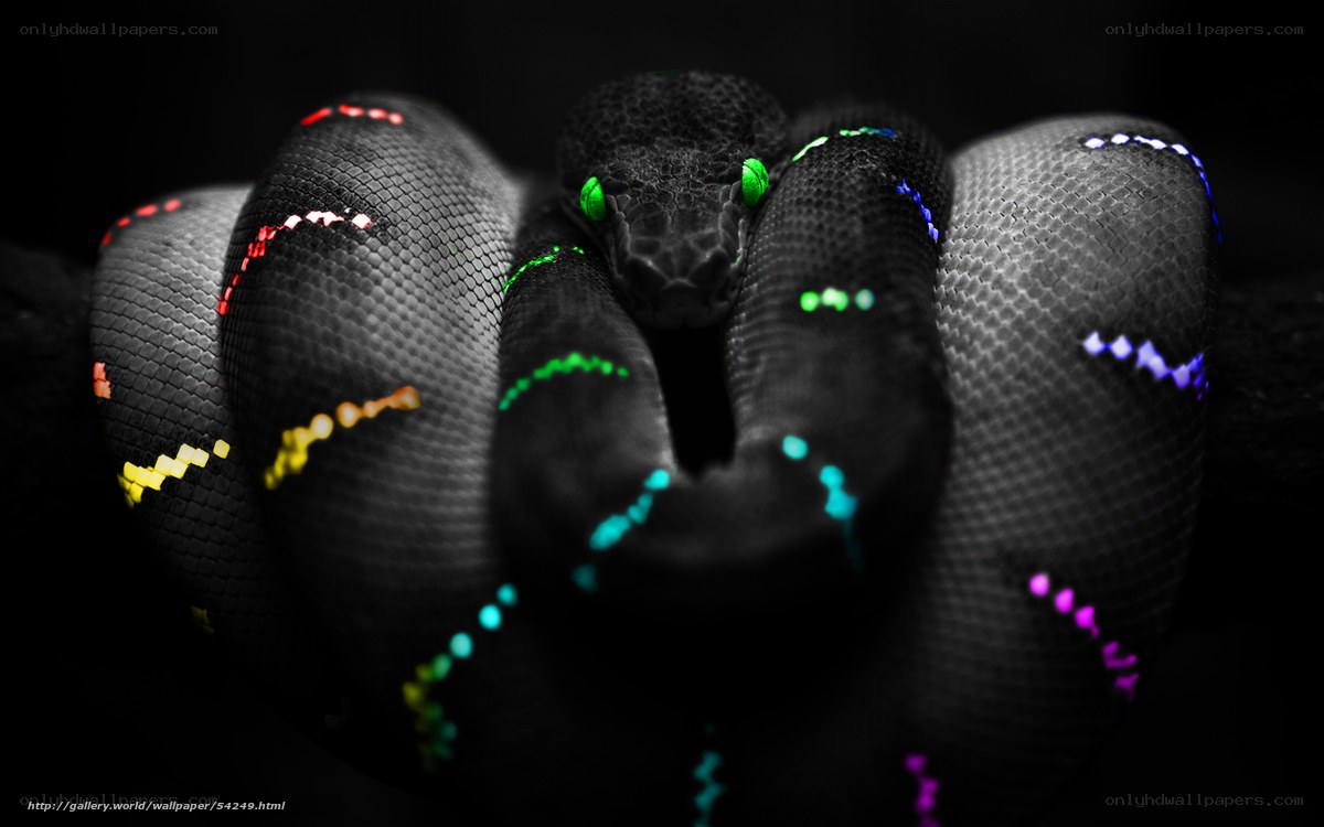 colorful snake with glowing eyes