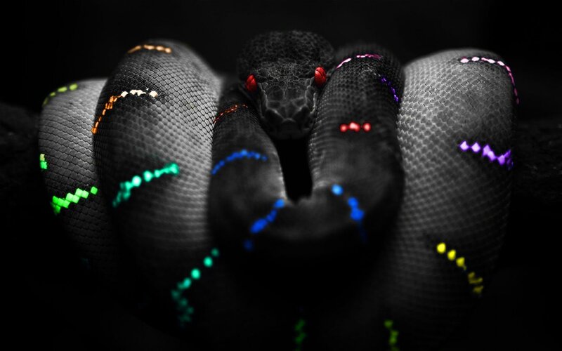 colorful snake with glowing patterns