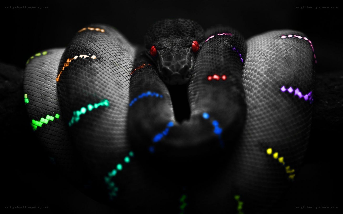 colorful snake with glowing patterns