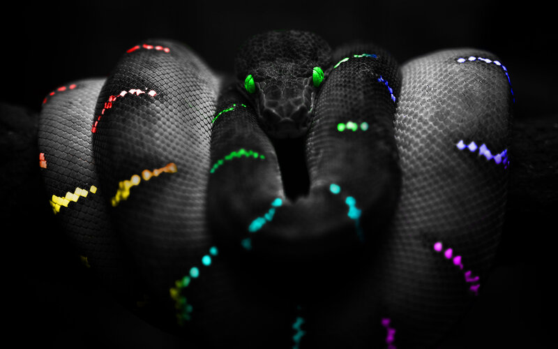 colorful snake with glowing patterns