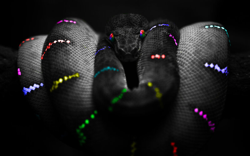 colorful snake with glowing patterns