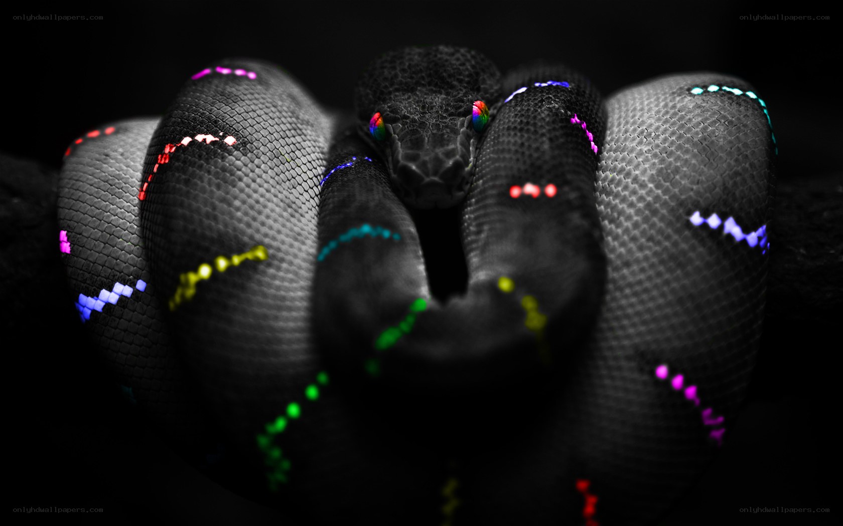 colorful snake with glowing patterns