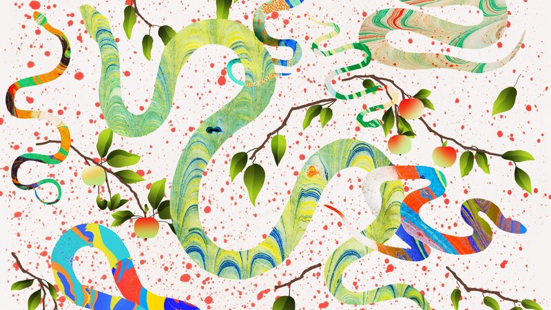 Colorful Snakes on Branches