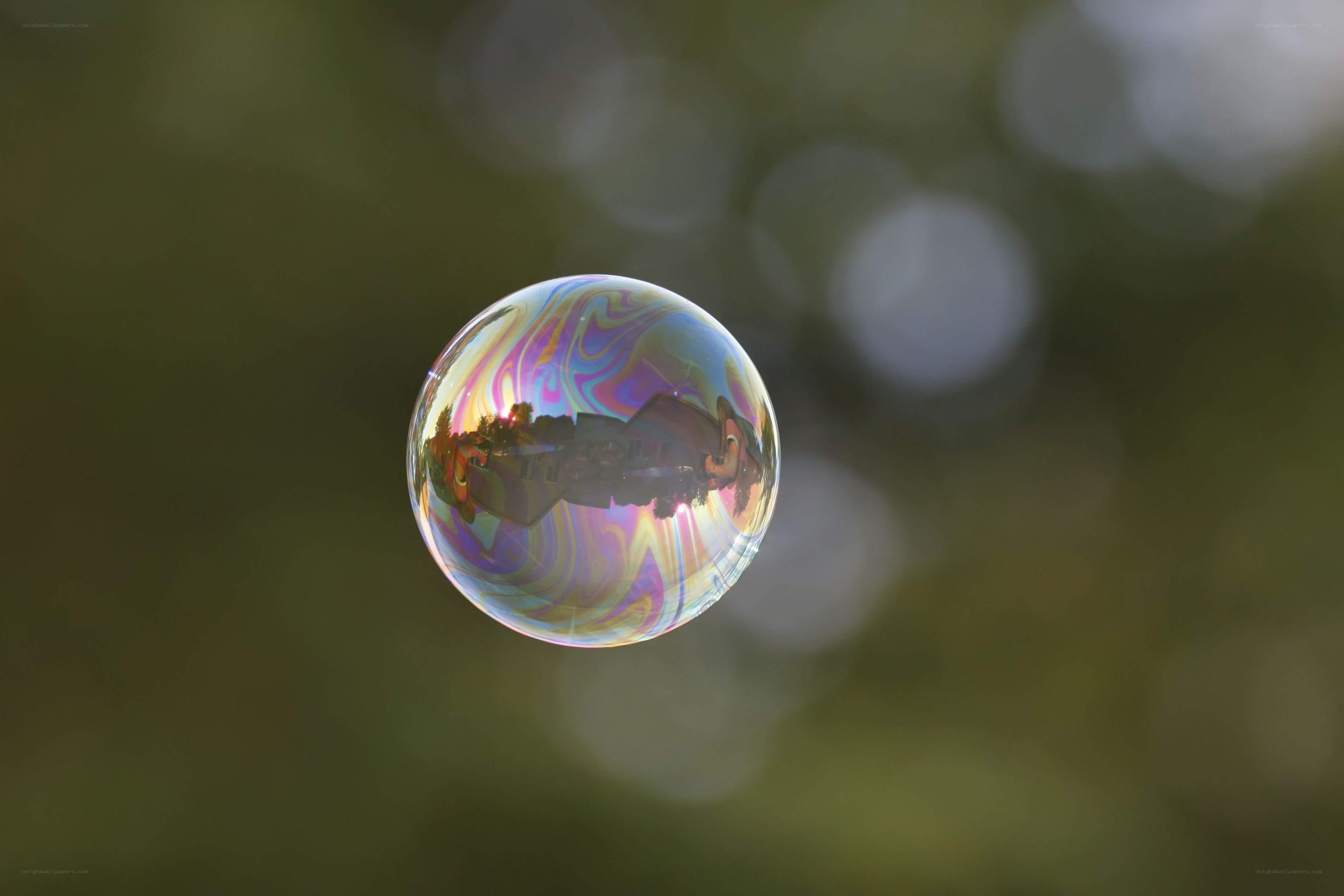 Colorful soap bubble in air