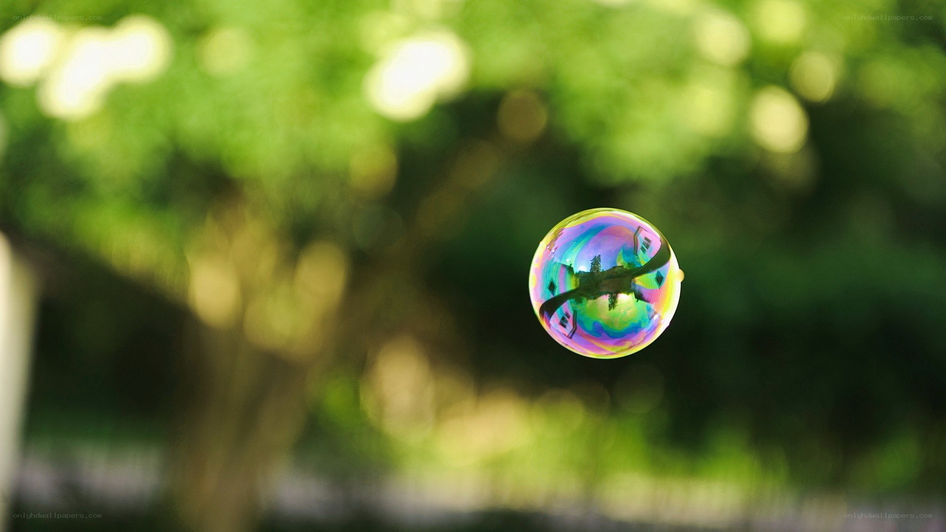 Colorful soap bubble in garden