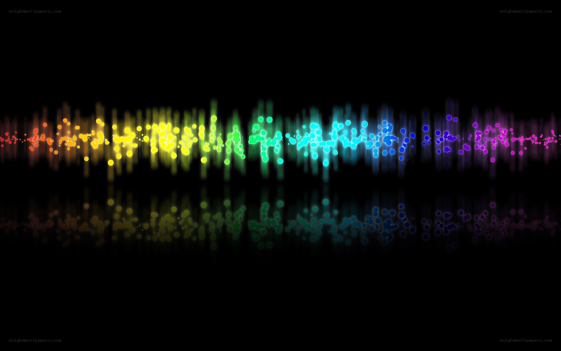 colorful sound wave animation