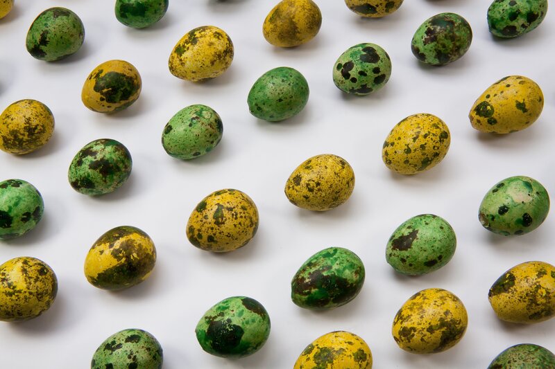 Colorful speckled eggs