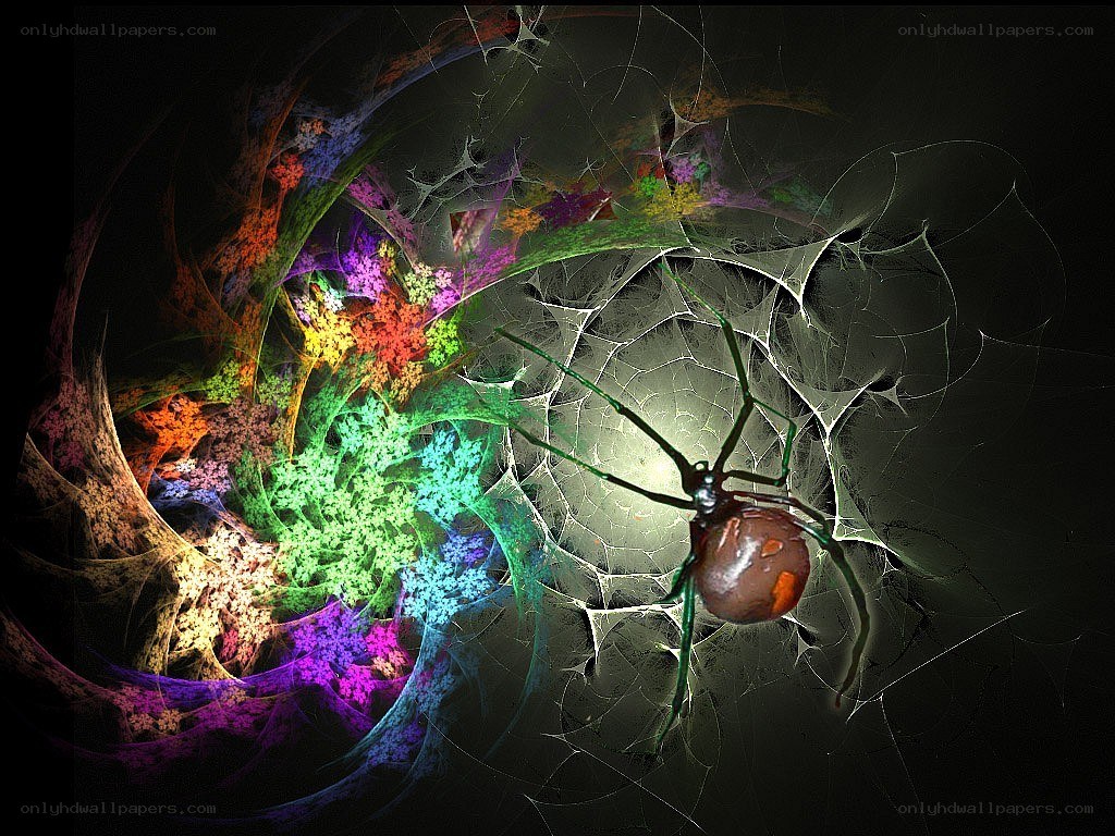 colorful spider web fractal