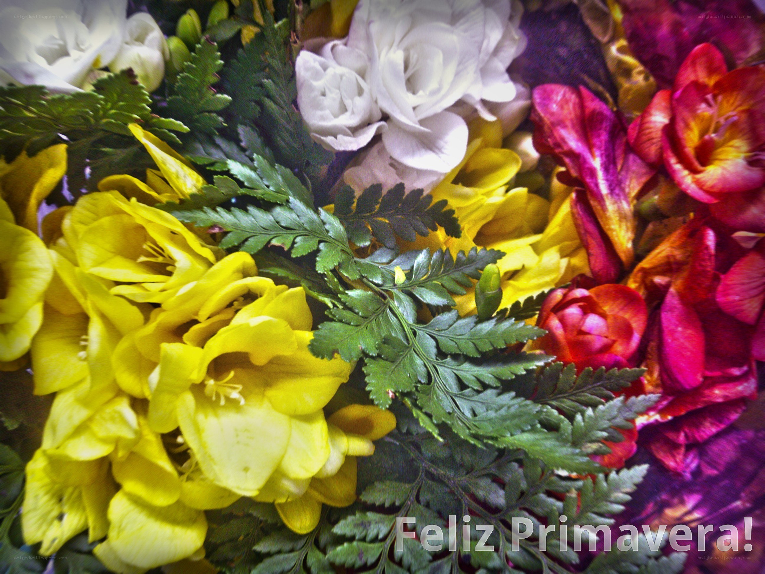 Colorful spring flower arrangement