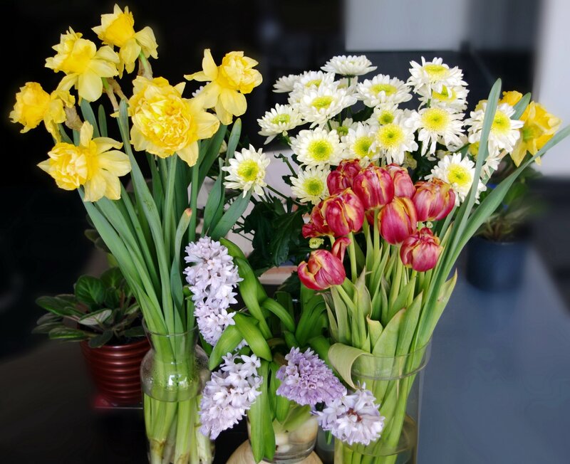 Colorful spring flower arrangement