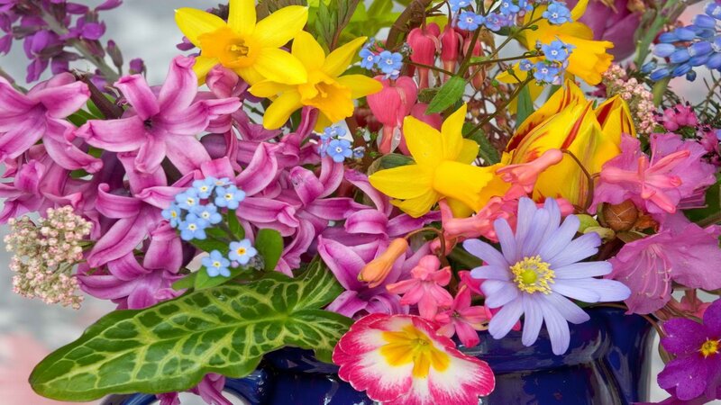 colorful spring flower bouquet