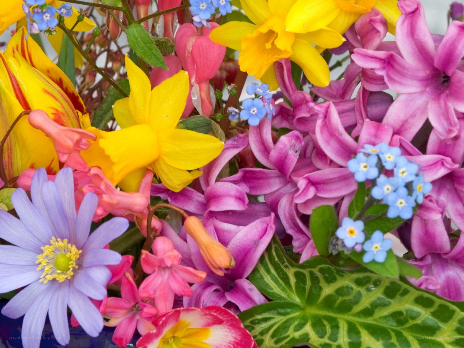 Colorful spring flower bouquet