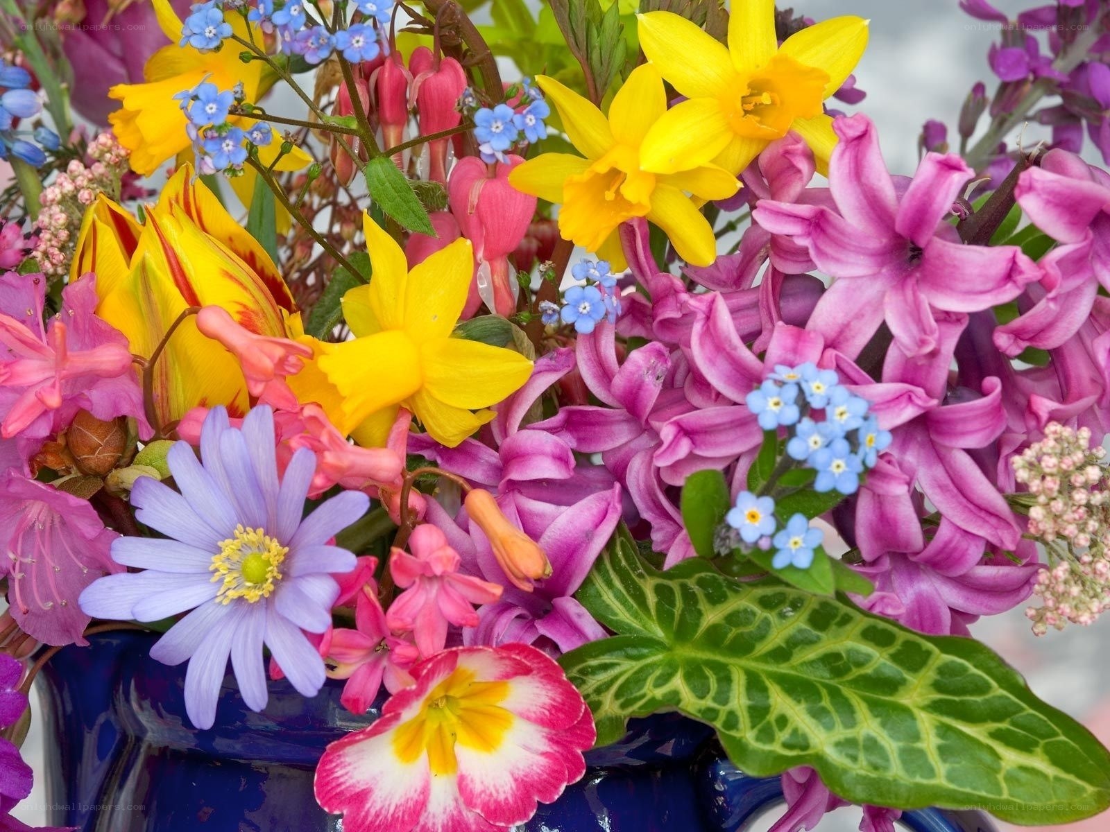 Colorful spring flower bouquet