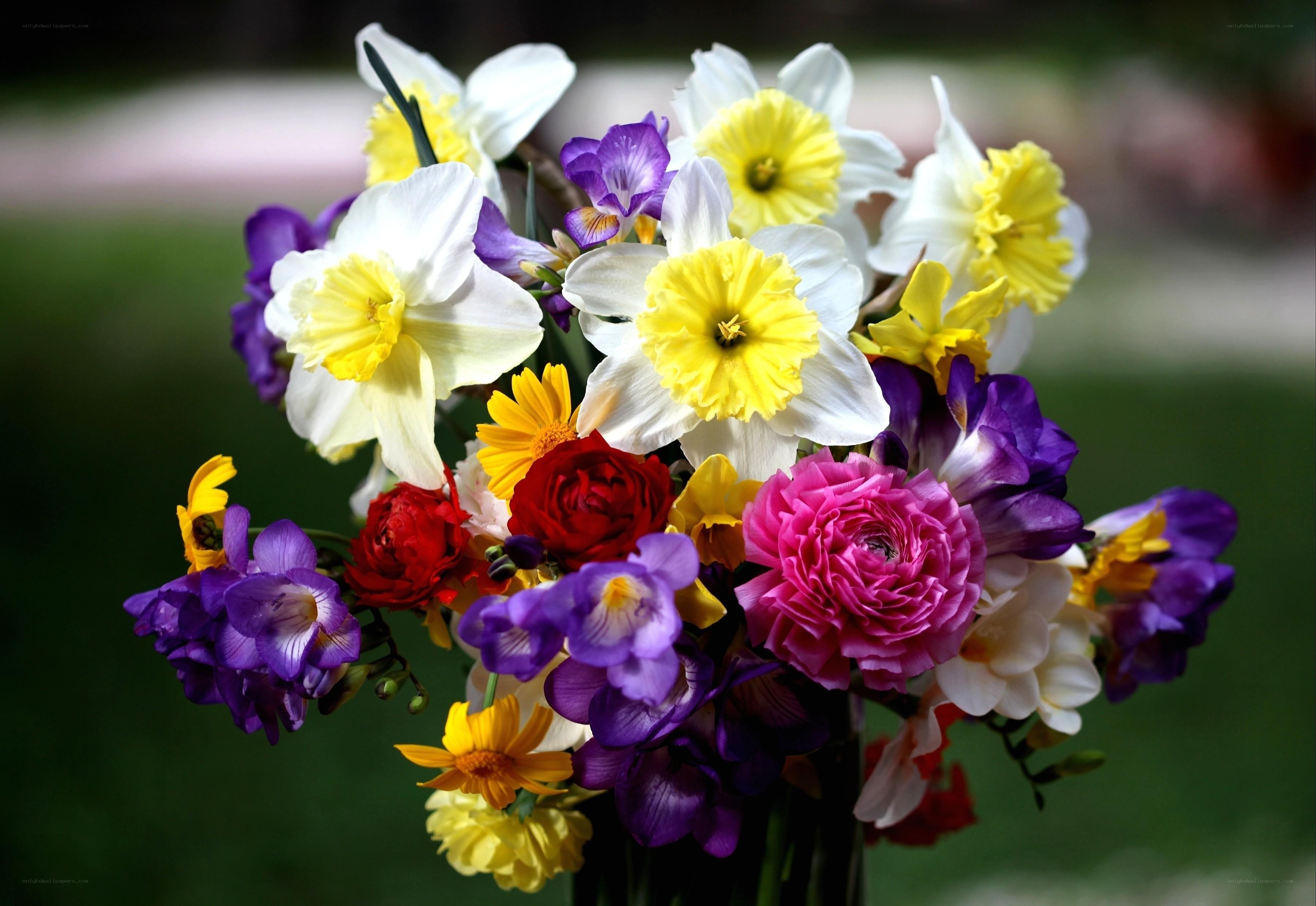 Colorful spring flower bouquet