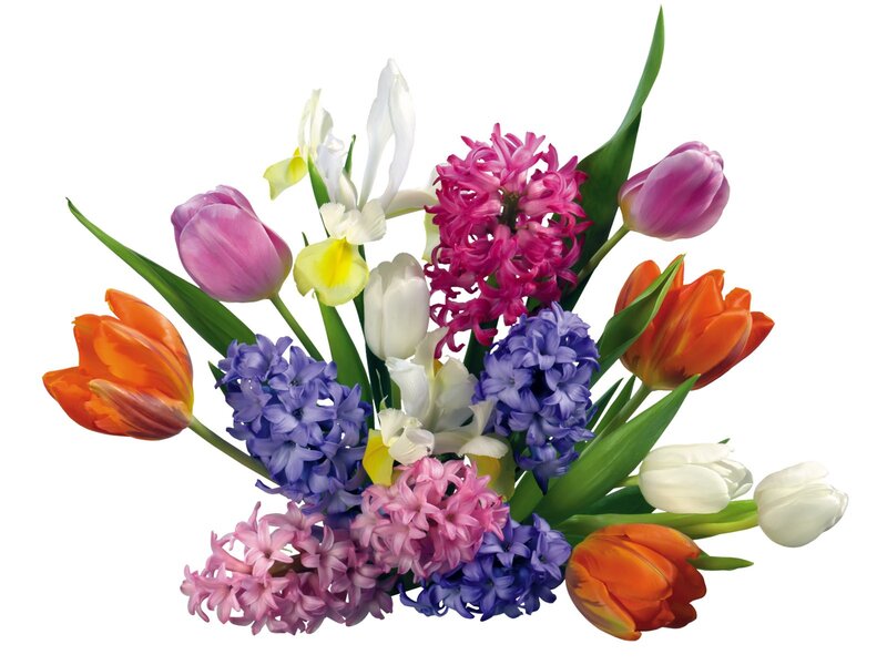 Colorful Spring Flower Bouquet — Purple, Vibrant