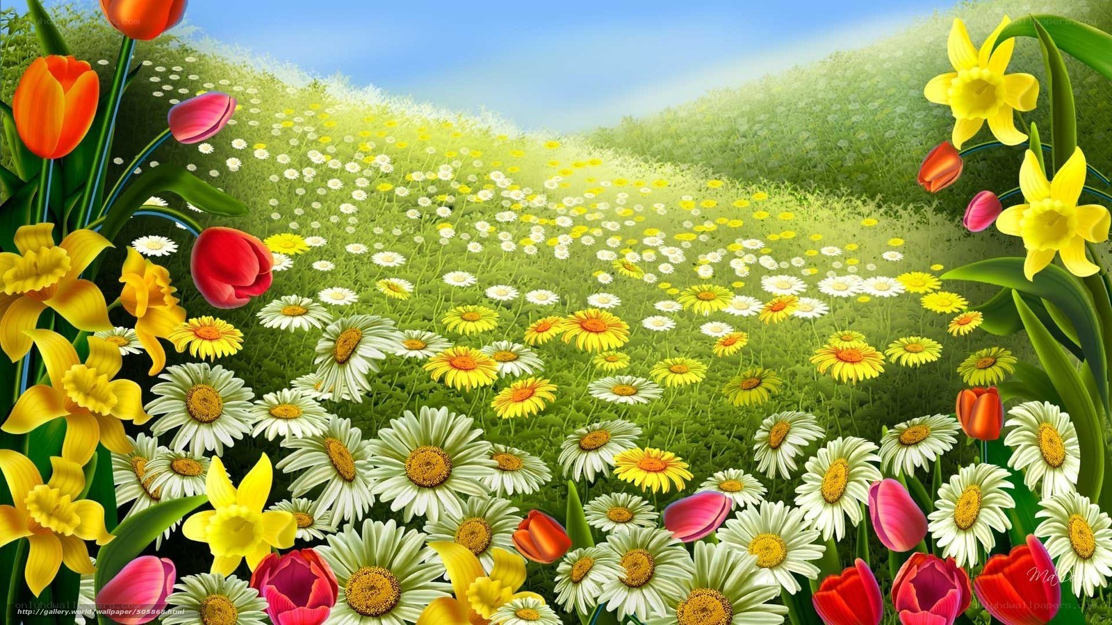 Colorful spring flower field
